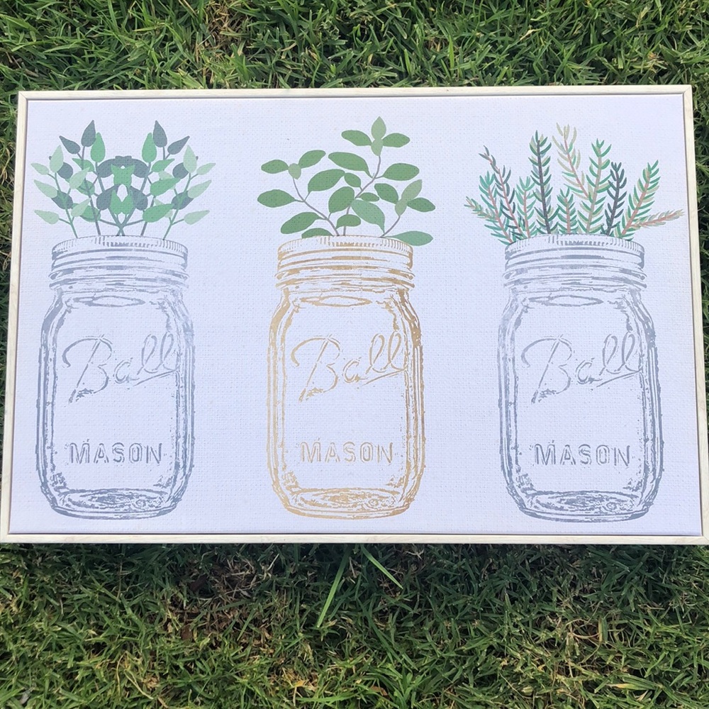 Beautiful new picture of plants 💚🌴